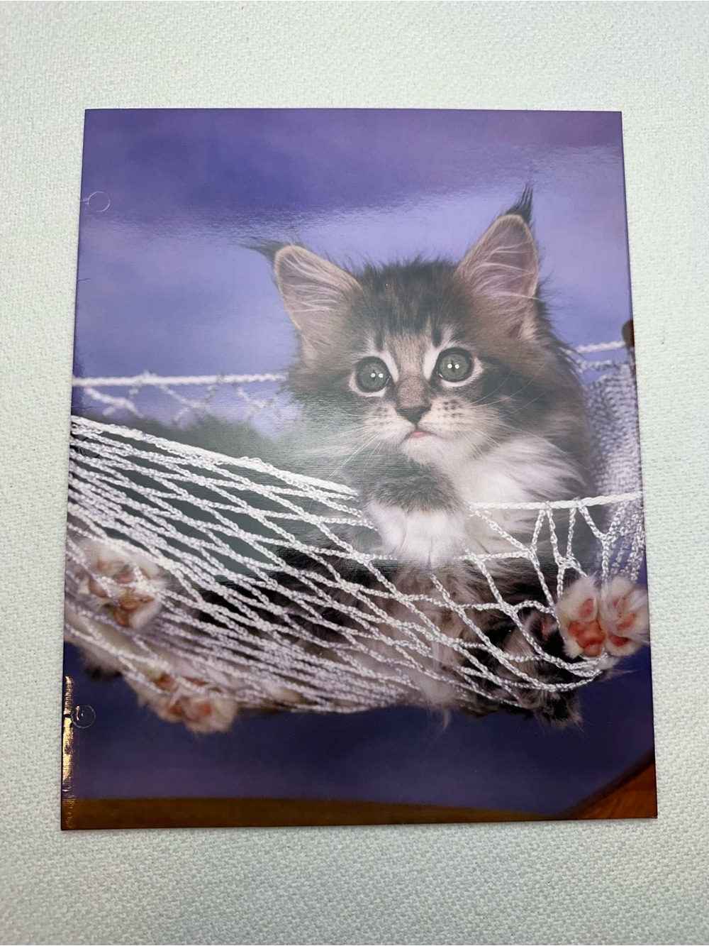 Mead 2003 Purrs & Grrrs Cat Hammock folder